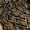 Black, variant on GHUALURU Men's Gold Cobra Snake Graphic T Shirt, Black Serpent Reptile Tee, 92% Polyester Spandex Gothic Streetwear Crewneck Shirt, S-4XL,Black,L