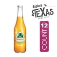 thumbnail image 5 of Jarritos Mango Soda, Mexican Mango Flavor Soft Drink, 12.5 fl oz Glass Bottles, 12 Pack, 5 of 7