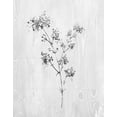 thumbnail image 2 of Knutsen, Conrad 26x32 Black Ornate Wood Framed with Double Matting Museum Art Print Titled - Neutral Meadow I, 2 of 4