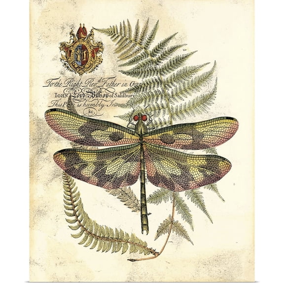 Great BIG Canvas | Rolled Vision Studio Poster Print entitled Regal Dragonfly IV