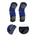 thumbnail image 2 of Unique Bargains 1 Pc Horizontal Stripes Knee Pads for Sports Black, Blue Large, 2 of 6