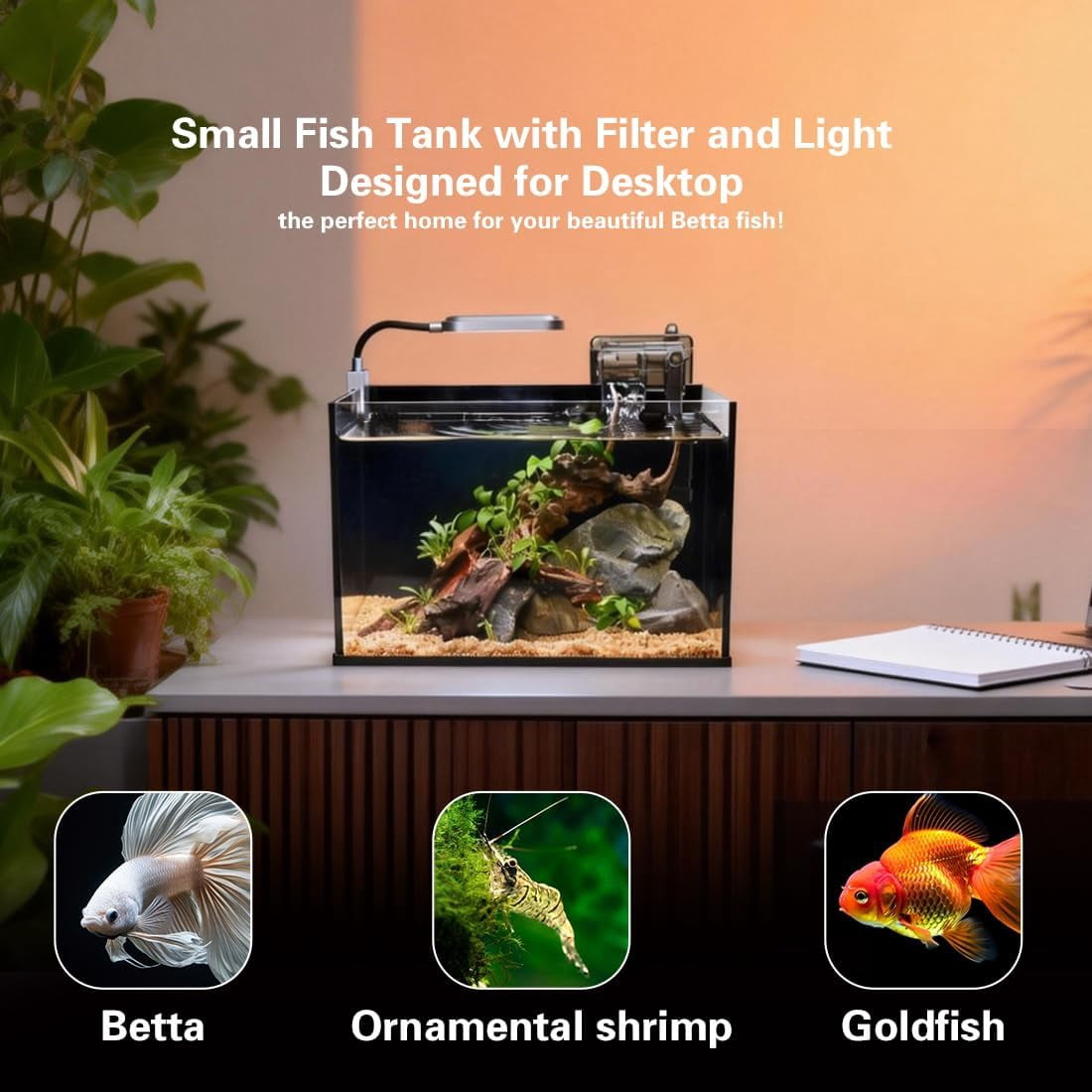 Glass Fish Tank Kit, 2.8 Gallon Small Aquarium, Ultra-Clear Nano Desktop Tank with Light and Filter, Betta Fish Starter Kit