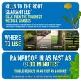 thumbnail image 2 of Roundup Weed & Grass Killer₄ with Pump 'N Go 2 Sprayer, 1.33 gal., 2 of 12