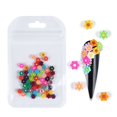 thumbnail image 1 of 10 Uds 3D flores secas uñas arte decoraciones flores naturales encantos de uñas conjunto de joyería suministros de uñas para accesorios profesionales Tan Jianjun unisex, 1 of 2