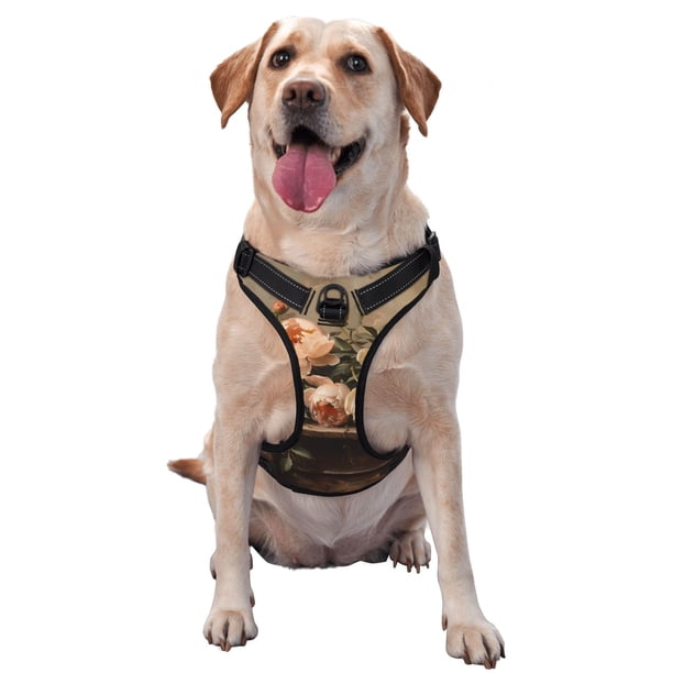 Fotbe Vintage Peonies Rustic Charm Arnés para Perro con Estampado –Chaleco Ajustable Acolchado con Asa de Control para Perros Grandes-X-Large