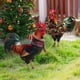 thumbnail image 1 of Xihbxyly Adorno Navideño con Forma de Gallina y Sombrero, con Enchufe de Tierra, Diseño Festivo Colorido, Multifuncional, para Uso En Interiores y Exteriores, Artesanía Exquisita, Tamaño 23 X 31 Cm., 1 of 4