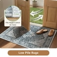 thumbnail image 2 of NewBuros Area Rugs 4'x6' Non-Slip Washable, Floral Vintage Distress Print Pattern Low Pile Soft Indoor Rugs for Living Room Bedroom Dining Room, Gray White, 2 of 10
