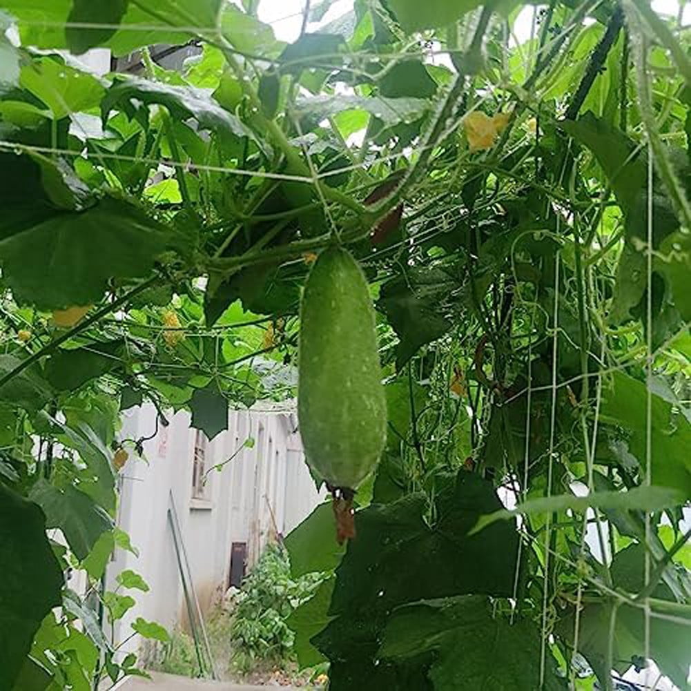 SPRING Garden Trellis Netting Compact Gardening Areas Durability Under Sunlight