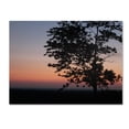 thumbnail image 2 of Trademark Fine Art "Soothing Symmetry" Canvas Art by Monica Fleet, 2 of 2