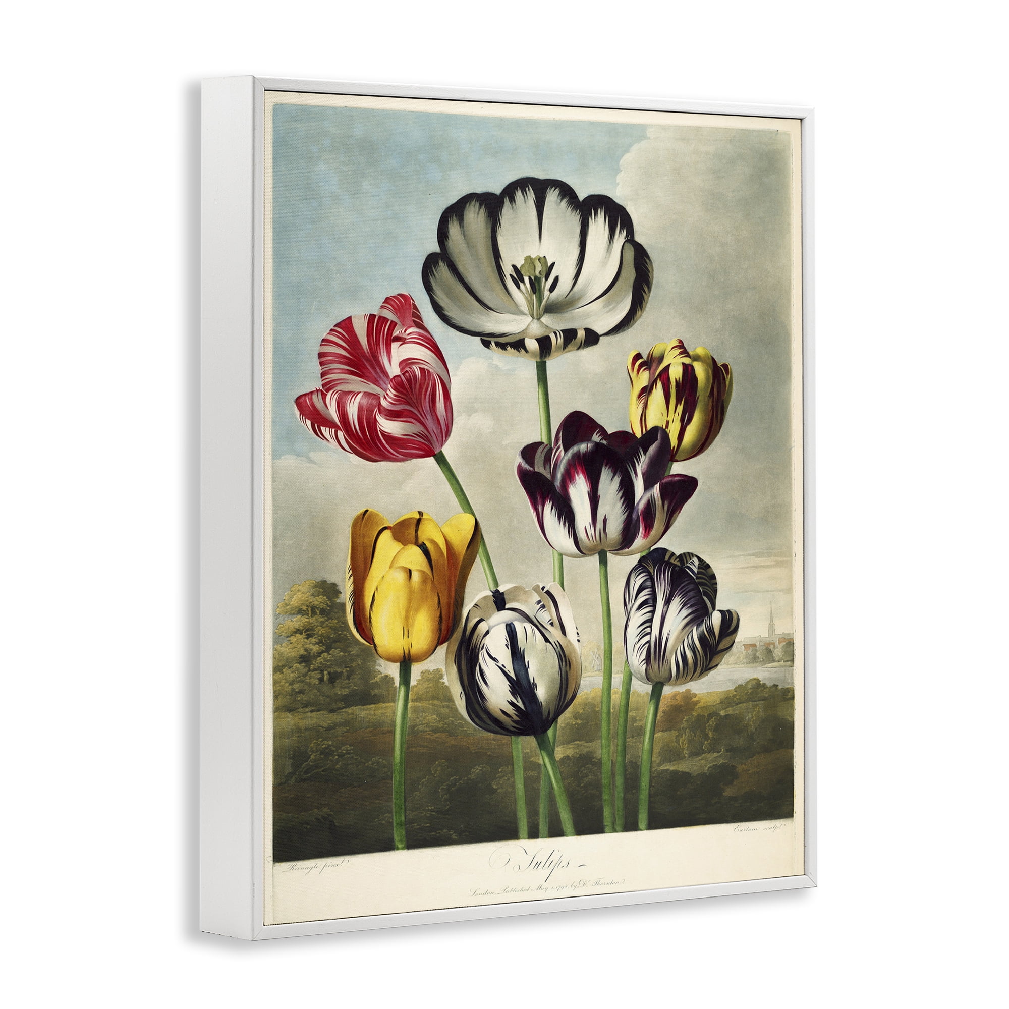 Stupell Industries Tulips From The Temple White Framed Giclee Art, design by Print Collection