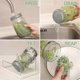 thumbnail image 5 of Complete Mason Jar Sprouting Kit, 2 Wide Mouth Quart Jars with 316 Stainless Steel Lids & Stand, 5 of 5