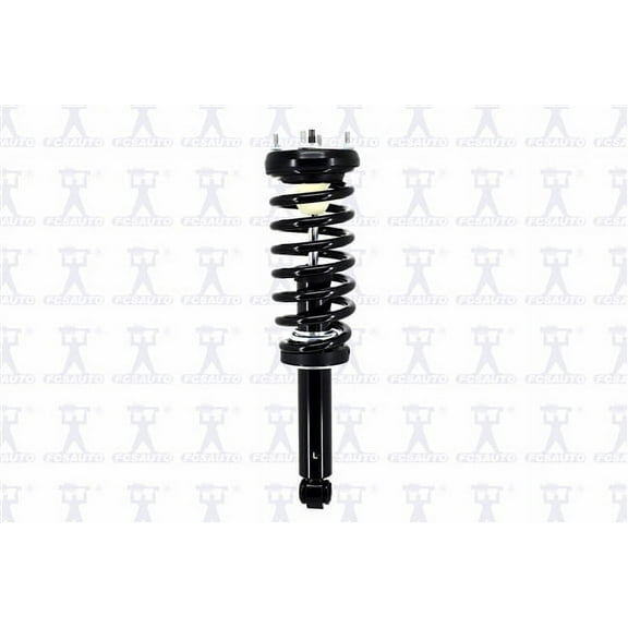 Suspension Strut and Coil Spring Assembly