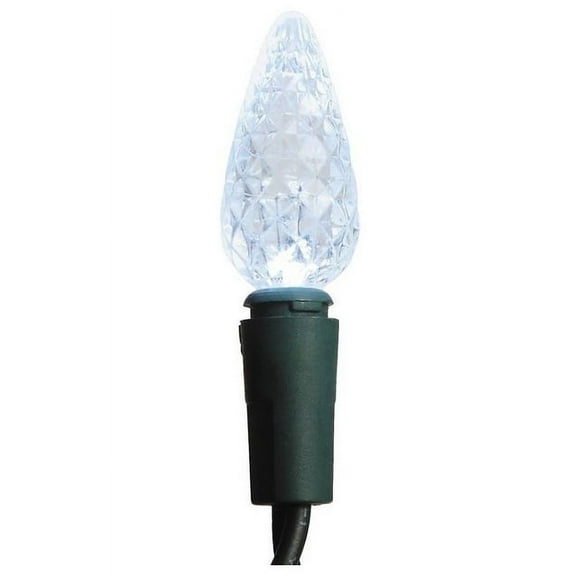 Clear Color Cool Touch C6 LED Berry Shaped Christmas Light Set of 70 Lights