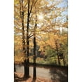 thumbnail image 3 of Deiter, Lori 13x18 Black Modern Framed Museum Art Print Titled - Autumn Light at Letchworth, 3 of 5