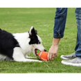 thumbnail image 4 of Latex Rugby Dog Toy, Teeth Ball, Latex Ball, Dog Toy, Pet Toy (Large), 4 of 5