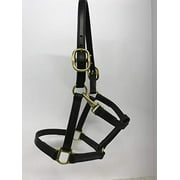 Tack Shack of Ocala Leather Small to Medium Pony Size Horse Halter, Brown with Solid Brass Hardware, Snap, Double Stitched