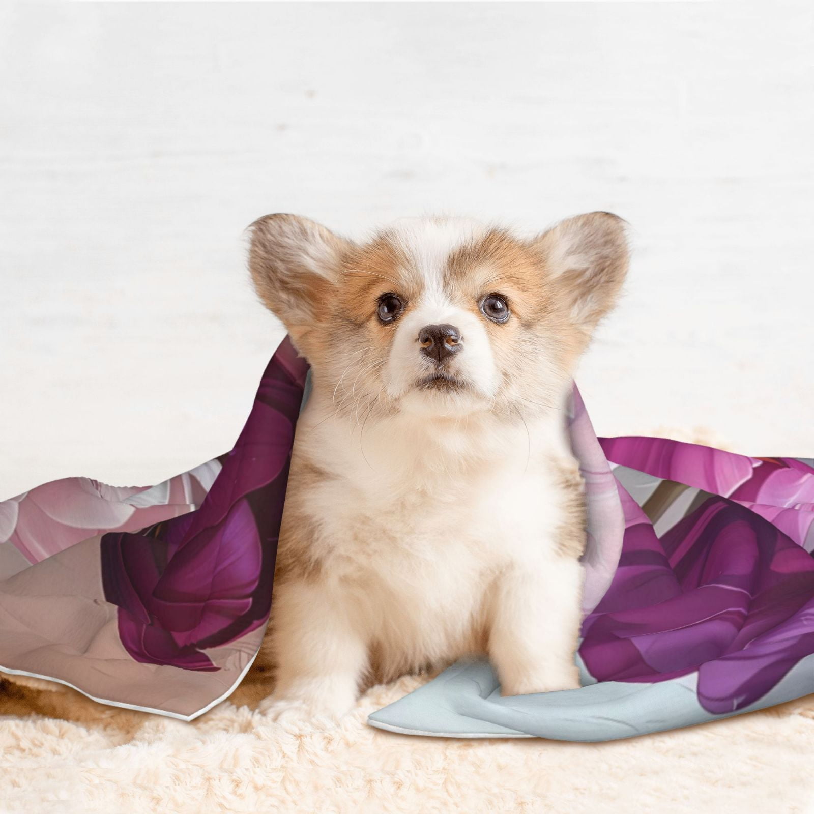 Naloa Purple And Pink Tulip Bouquet Dog Blanket, 3 Sizes Cat Blanket for Indoor Cats Large Medium Small Dog Gifts-Small