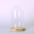 thumbnail image 3 of Glass Cloche, Plant Terrarium Dome, Flower Vase Display Case with , Table Centerpiece Dome , L, 3 of 9