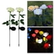 thumbnail image 3 of Lámparas solares con forma de rosa, impermeables, para jardín, iluminan el patio, regalo champán, 3 of 9