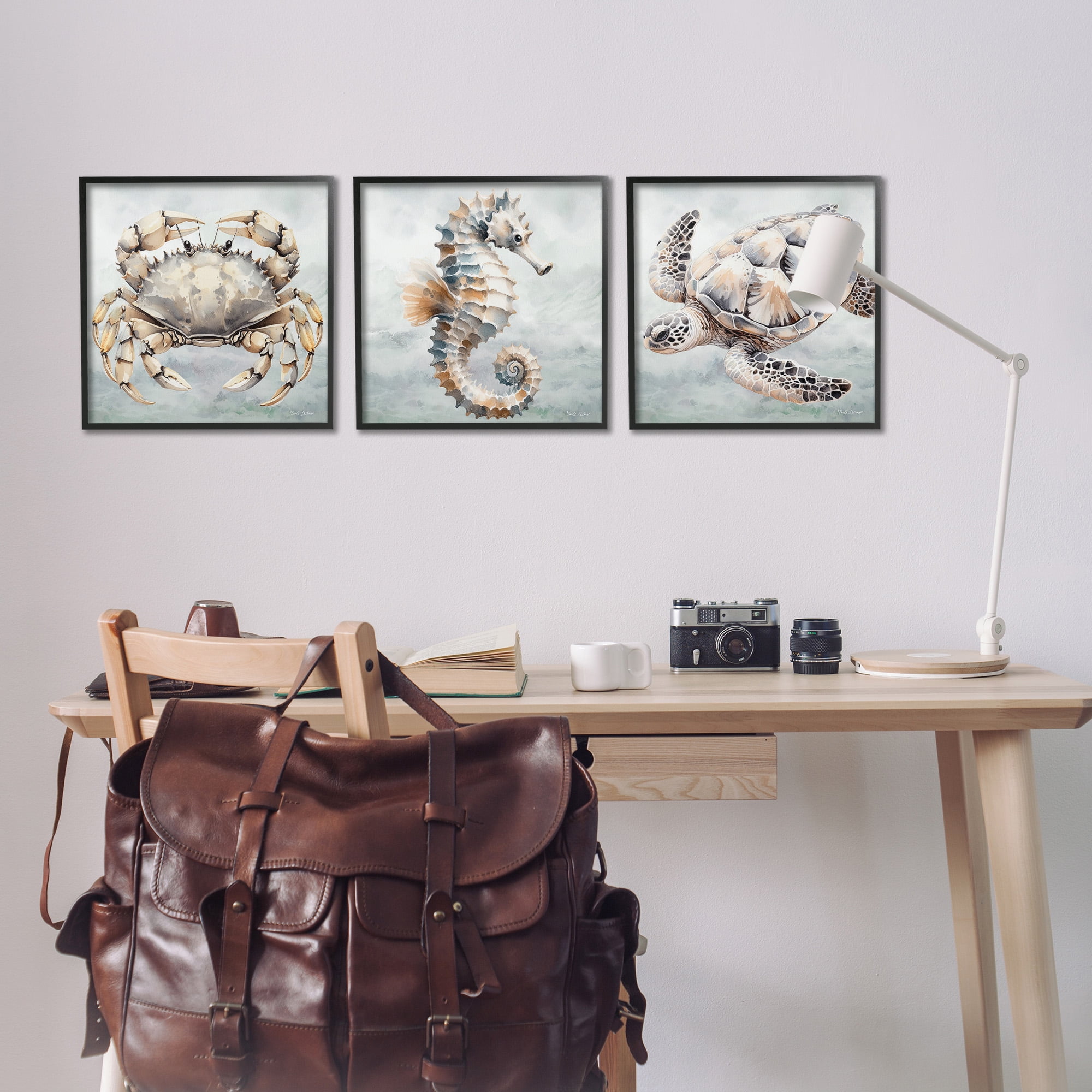 Stupell Industries Traditional Marine Life Animals & Insects Painting Black Framed Art Print Wall Art, 17 x 17, Set of 3
