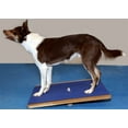 thumbnail image 3 of FitPAWS® Giant Rocker Board (30" x 30") for Dog Fitness and Agility, 3 of 4