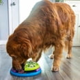 thumbnail image 3 of Outward Hound By Nina Ottosson Lickin' Layers Interactive 3-in-1 Dog Feeder Puzzle, Lick Mat & Slow Feeder Bowl, Multi-Color, Medium/Large, 3 of 9