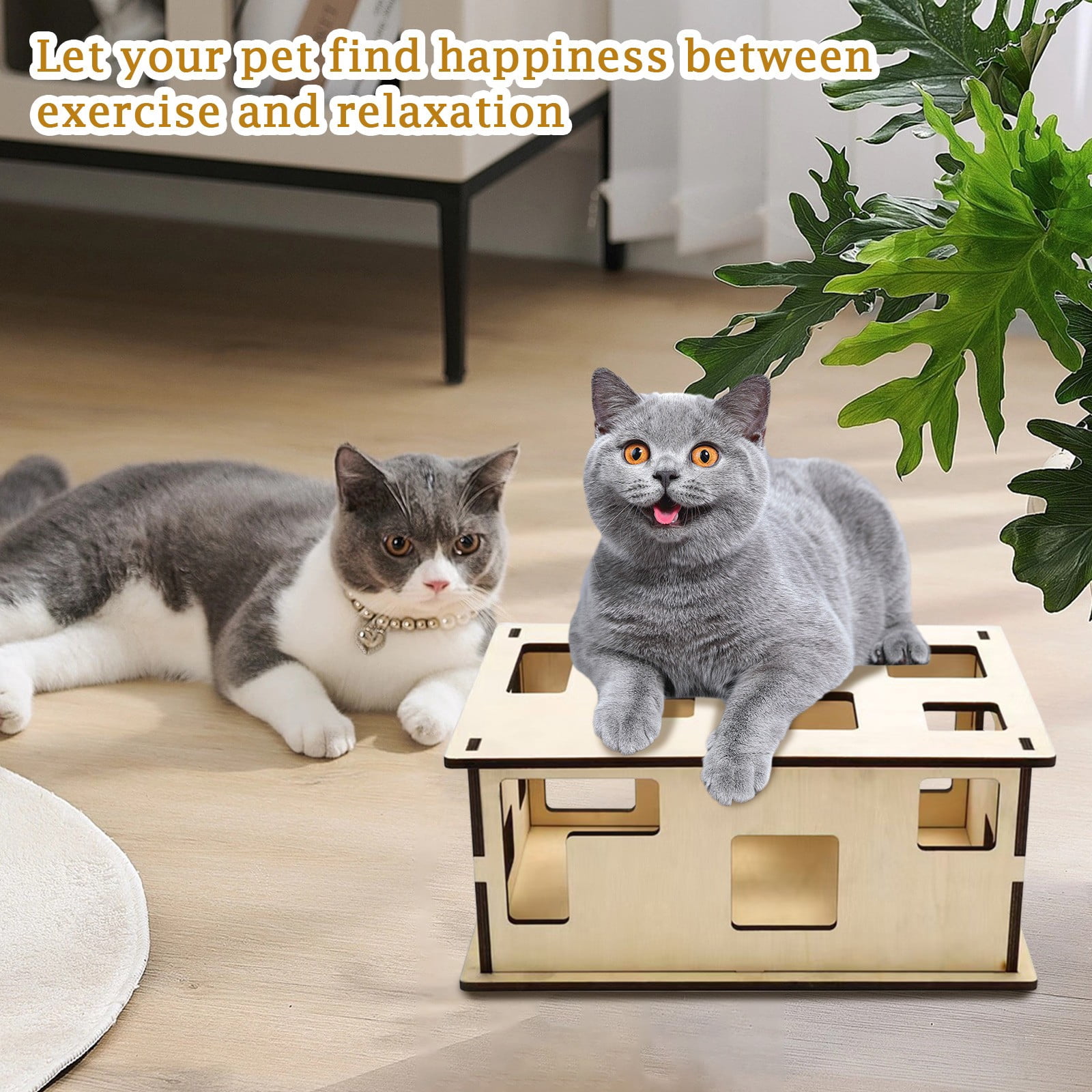 Cat Puzzle Toys Wooden Maze Box for Indoor Cats，Interactive Smart Brain Trainer with Hide and Seek Ball Game，Mental Enrichment Toys to Reduce Boredom，Natural Wood，Wood Color