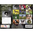 thumbnail image 2 of shiyou-Boston Terrier Calendrier 2026 Mural, 2 of 3