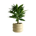thumbnail image 2 of Usloyux Under $5 Artificial Potted Plant Set, Desktop Fake Greenery Collection, Office Home Decor Bonsai, Simulation Plants with Container and Lifelike Appearance, 2 of 6