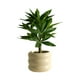 thumbnail image 2 of Plantas artificiales en maceta para decoración del hogar - Paquetes de 4 plantas artificiales pequeñas en macetas de plástico para escritorio, oficina o salón, 2 of 6