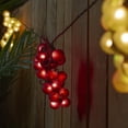 thumbnail image 4 of Red and Green Grape Summer Patio Light Set - 5 Clusters 35 Lights, 4 of 7