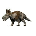 thumbnail image 2 of Pachyrhinosaurus dinosaur Poster Print, 2 of 2