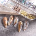 thumbnail image 3 of Fiudx Ofertas Flash Del Día Solo En Línea Nail Xingyue Parche De Uñas De Metal Translúcido Lentejuelas Arte De Uñas De Verano, 3 of 6