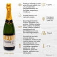 thumbnail image 2 of Vino Espumoso Taanug pinord cava brut 750 ml, 2 of 4