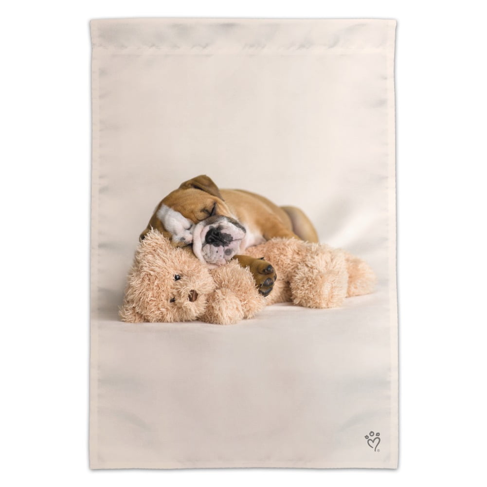 british bulldog teddy