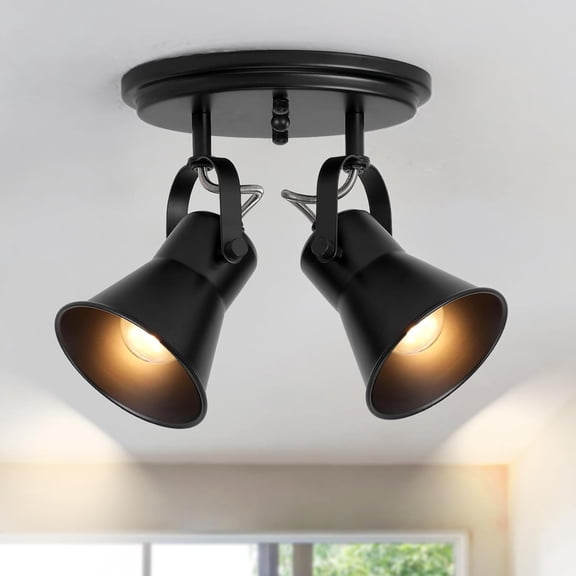 Black Kitchen Lighting Fixtures Ceiling, 2-Light Adjustable Track Light, Flush Mount Directional Ceiling Light for Hallway, Dining Room, Bathroom