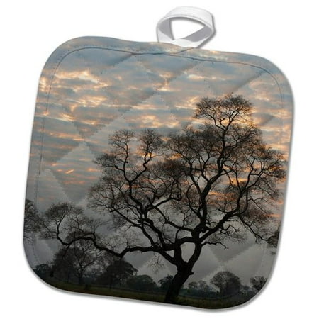 

3dRose Brazil Sunrise Peeking through The Clouds Over The Pantanal Wetlands Pot Holder