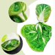 thumbnail image 4 of 26-27 Food Simulation Printed Flannel Nap Blanket, 4 of 5