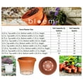 thumbnail image 2 of Bloem Terra Pot Round Planter: 16" - Pebble Stone Beige, (Saucer Not Included) Matte Finish, Durable Resin, Traditional Style Pot, For Indoor and Outdoor Use, 8 Gallon Capacity, 2 of 3