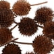 thumbnail image 3 of 2x 50 Piezas Flores Naturales Prensadas y Secas para Decoración DIY Artesanías de Decoración de Pared, 3 of 9