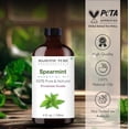 thumbnail image 4 of Aceite esencial Majestic Pure Spearmint 120 ml 100% natural, 4 of 9