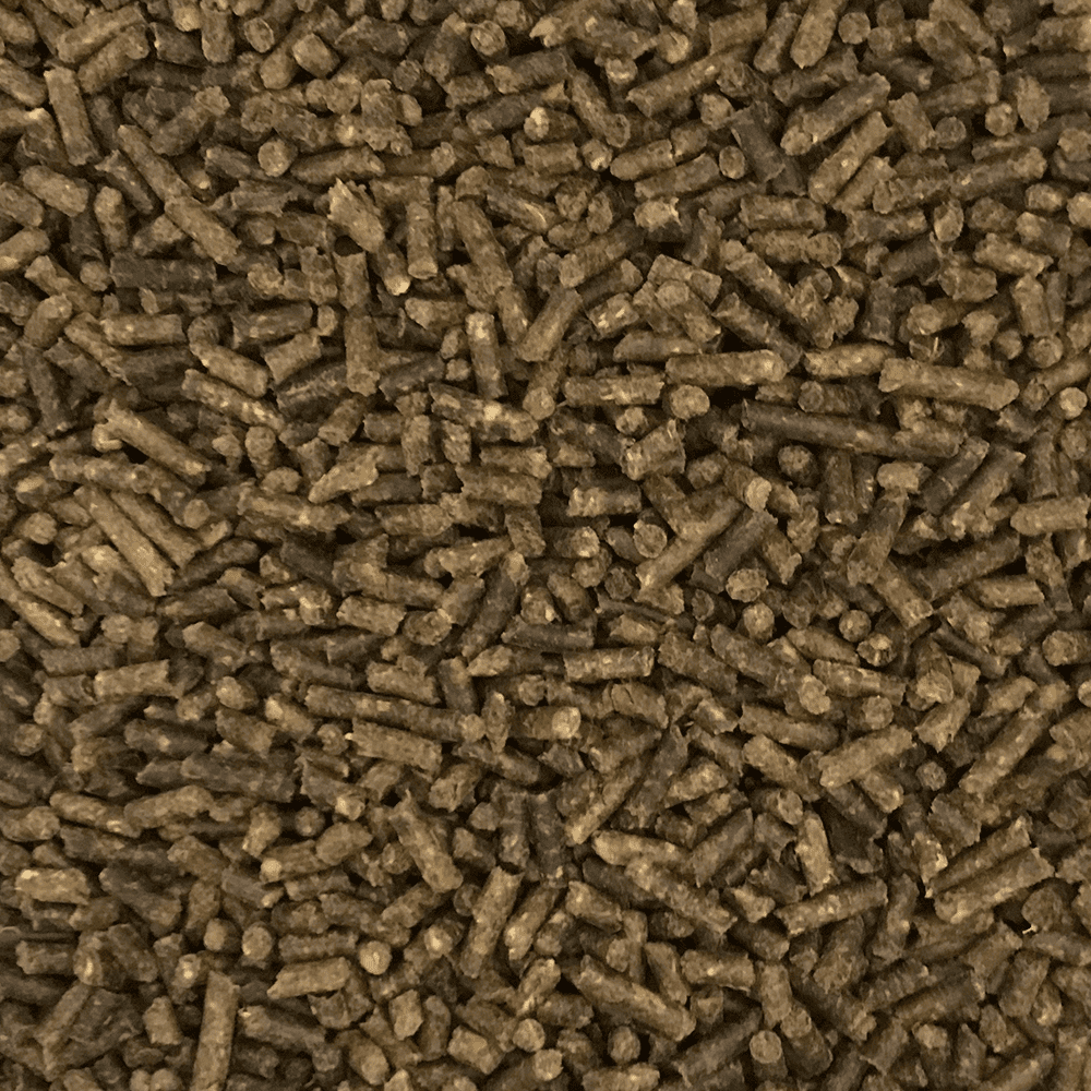 (3 pack) Forageplus Performance Horse Feed, 40 lb