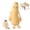 Mango, variant on Carrot Hugging Pillow, with Heat Tapping and Pat Arm Bluetooth Recording, Body Cuddling Sleeping Pillows for Side Sleepers, Reading,Relax, Calming
