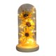 thumbnail image 2 of Profesional En Cúpula De Vidrio Con Tira De Luz Led Flores De Vidrio Decorativas Duraderas Multicolor Para Regalos Oficina Methold HA044117-03, 2 of 6
