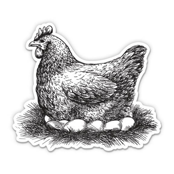 Hen Sketch Drawing Chicken Eggs - 3" Vinyl Sticker - For Car Laptop Water Bottle Phone - Waterproof Decal