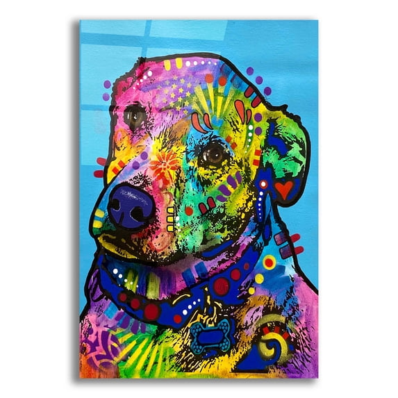 Epic Art 'Heckin Excited' by Dean Russo, Acrylic Glass Wall Art, 12"x16"