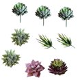 thumbnail image 1 of Coofit 13PCS Artificial Succulent Plant Plastic Realistic Fake Plant Home Decoration, 1 of 10