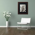 thumbnail image 3 of Trademark Fine Art "Florison 21" Canvas Art by Alan Blaustein, Black Matte, Wood Frame, 3 of 4