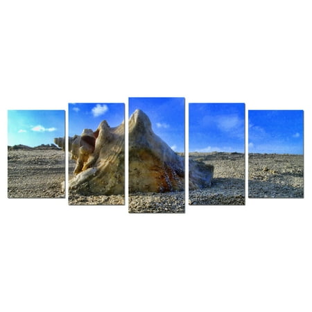 Ready2HangArt Sandy Conch Canvas Wall Art - 5 pc. Set