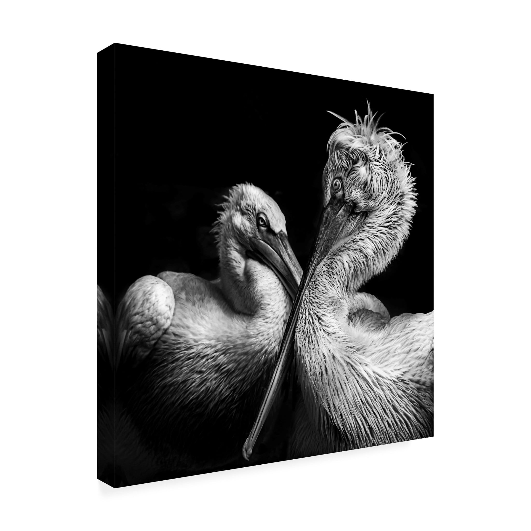 Trademark Fine Art Anita Singh  Crisscross Canvas Wall Art